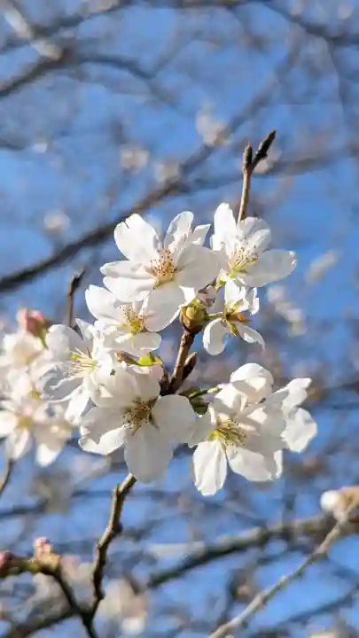麻賀多神社の自然