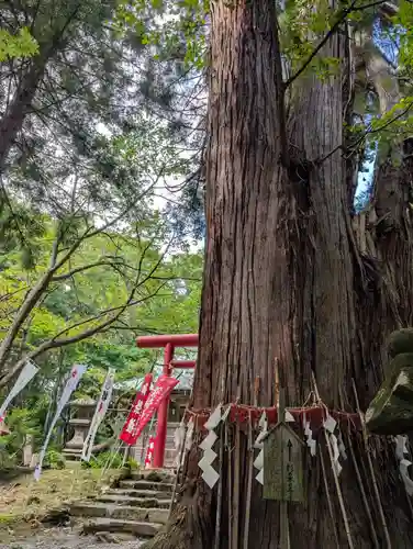 磐椅神社(福島県)