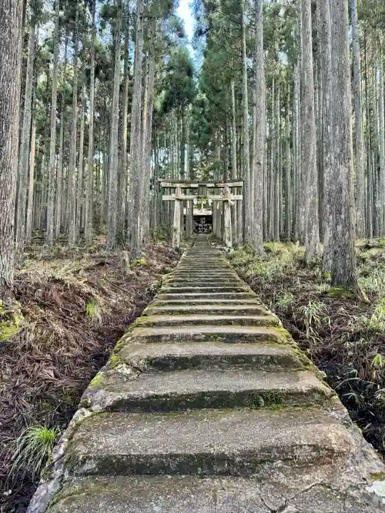 賀茂神社(京都府)