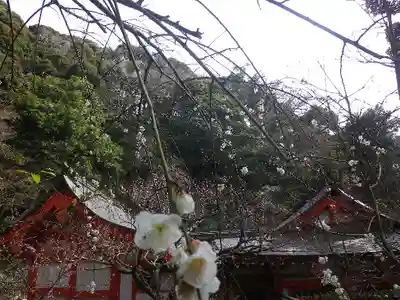 荏柄天神社のその他建物
