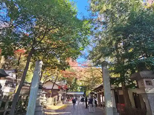 調神社(埼玉県)