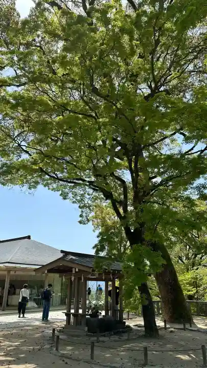 宝満宮竈門神社(福岡県)