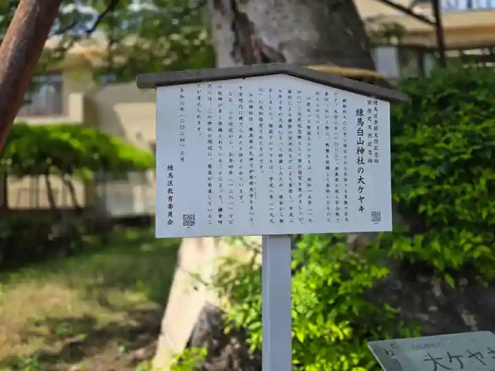 白山神社(東京都)