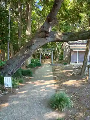 香取神社の{uncategorized: "未分類", other: "その他", undefined: "問題あり", building: "その他建物", grave: "お墓", sacred_gate: "鳥居", guardian: "狛犬", statue: "像", buddha: "仏像", history: "歴史", nature: "自然", garden: "庭園", animal: "動物", pagoda: "塔", temizu: "手水舎", mountain_gate: "山門・神門", sanctuary: "本殿・本堂", subordinate: "末社・摂社", art: "芸術", scenery: "景色", jizo: "地蔵", ema: "絵馬", goshuin: "御朱印", omikuji: "おみくじ", items: "授与品その他", amulet: "お守り", goshuincho: "御朱印帳", eats: "食事", festival: "お祭り", votive_dance: "神楽", shichigosan: "七五三参", wedding: "結婚式", experience: "体験その他", initially: "初詣", around: "周辺", anti_infection: "感染症対策"}