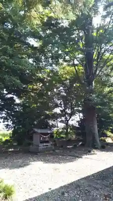 八幡神社のその他建物