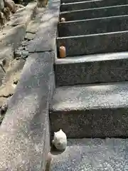 金刀比羅神社(京都府)