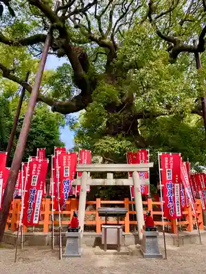 住吉大社(大阪府)