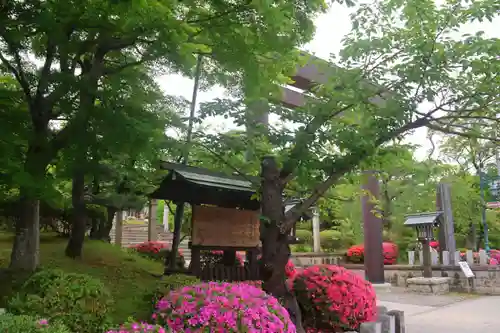開成山大神宮の鳥居