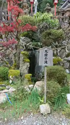 若宮神社(京都府)