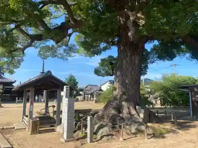 長尾寺(香川県)