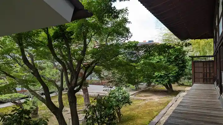 妙覺寺(妙覚寺)(京都府)