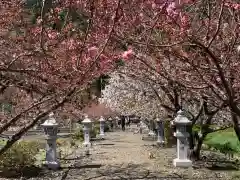 伊香具神社の庭園