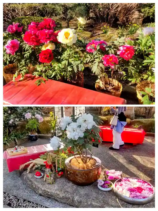 上野東照宮(東京都)