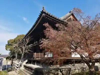 薬師寺(奈良県)