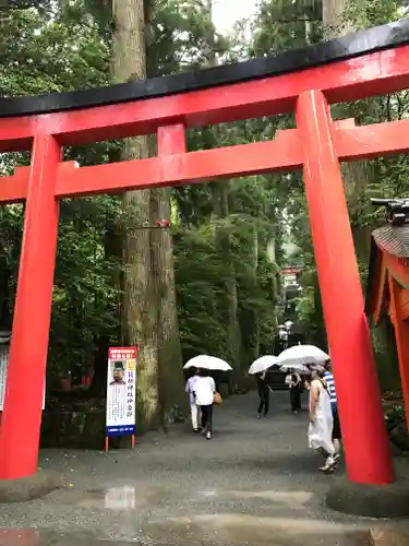 箱根神社の鳥居