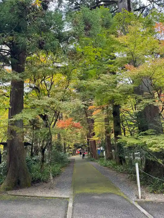 大矢田神社(岐阜県)