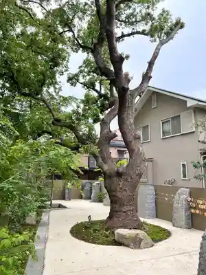 鳥飼八幡宮(福岡県)