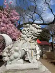 星影神社(千葉県)