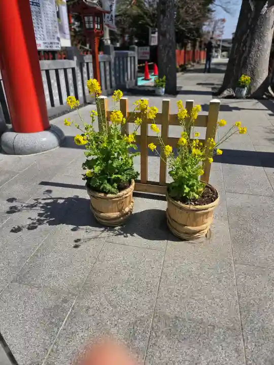川越八幡宮の{uncategorized: "未分類", other: "その他", undefined: "問題あり", building: "その他建物", grave: "お墓", sacred_gate: "鳥居", guardian: "狛犬", statue: "像", buddha: "仏像", history: "歴史", nature: "自然", garden: "庭園", animal: "動物", pagoda: "塔", temizu: "手水舎", mountain_gate: "山門・神門", sanctuary: "本殿・本堂", subordinate: "末社・摂社", art: "芸術", scenery: "景色", jizo: "地蔵", ema: "絵馬", goshuin: "御朱印", omikuji: "おみくじ", items: "授与品その他", amulet: "お守り", goshuincho: "御朱印帳", eats: "食事", festival: "お祭り", votive_dance: "神楽", shichigosan: "七五三参", wedding: "結婚式", experience: "体験その他", initially: "初詣", around: "周辺", anti_infection: "感染症対策"}