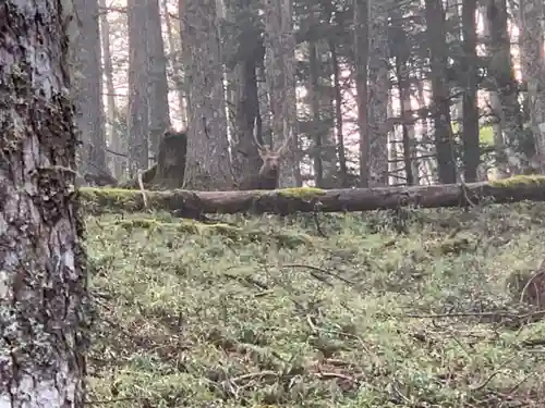 七面山敬慎院のその他建物
