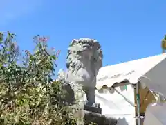 柳澤神社の狛犬