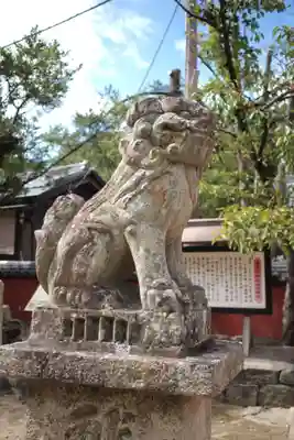 玉津島神社の狛犬