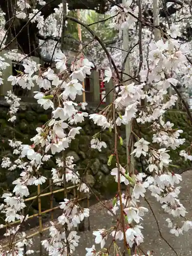 小川諏訪神社(福島県)