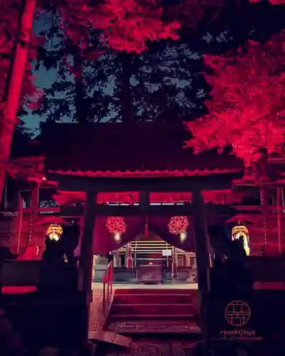 立志神社 年末年始ライトアップと限定御朱印