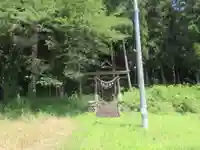 諏訪神社(埼玉県)