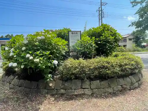 日本寺のその他建物