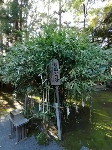 常陸第三宮　吉田神社の庭園