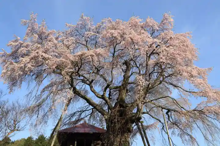 上石不動堂の自然