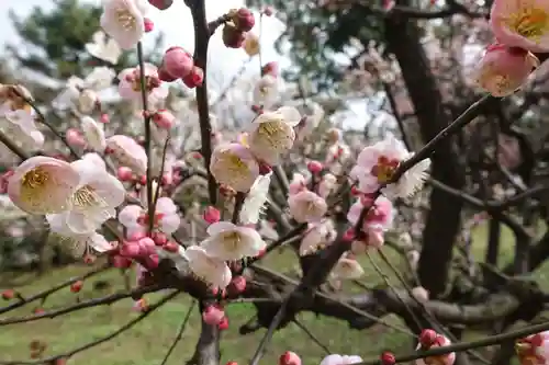 北野天満宮の庭園