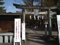 日枝神社水天宮の鳥居