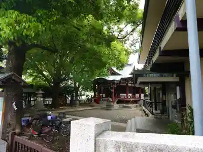 小金八坂神社の{uncategorized: "未分類", other: "その他", undefined: "問題あり", building: "その他建物", grave: "お墓", sacred_gate: "鳥居", guardian: "狛犬", statue: "像", buddha: "仏像", history: "歴史", nature: "自然", garden: "庭園", animal: "動物", pagoda: "塔", temizu: "手水舎", mountain_gate: "山門・神門", sanctuary: "本殿・本堂", subordinate: "末社・摂社", art: "芸術", scenery: "景色", jizo: "地蔵", ema: "絵馬", goshuin: "御朱印", omikuji: "おみくじ", items: "授与品その他", amulet: "お守り", goshuincho: "御朱印帳", eats: "食事", festival: "お祭り", votive_dance: "神楽", shichigosan: "七五三参", wedding: "結婚式", experience: "体験その他", initially: "初詣", around: "周辺", anti_infection: "感染症対策"}