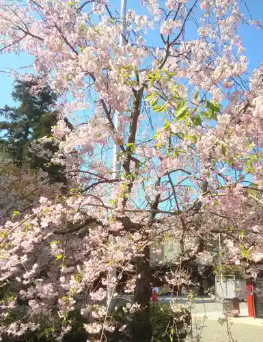大國魂神社(東京都)