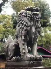 加紫久利神社の狛犬