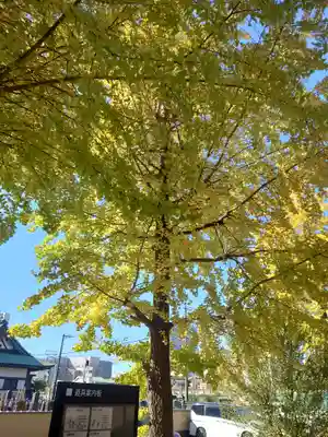 能満寺(神奈川県)