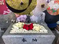 札幌諏訪神社の{uncategorized: "未分類", other: "その他", undefined: "問題あり", building: "その他建物", grave: "お墓", sacred_gate: "鳥居", guardian: "狛犬", statue: "像", buddha: "仏像", history: "歴史", nature: "自然", garden: "庭園", animal: "動物", pagoda: "塔", temizu: "手水舎", mountain_gate: "山門・神門", sanctuary: "本殿・本堂", subordinate: "末社・摂社", art: "芸術", scenery: "景色", jizo: "地蔵", ema: "絵馬", goshuin: "御朱印", omikuji: "おみくじ", items: "授与品その他", amulet: "お守り", goshuincho: "御朱印帳", eats: "食事", festival: "お祭り", votive_dance: "神楽", shichigosan: "七五三参", wedding: "結婚式", experience: "体験その他", initially: "初詣", around: "周辺", anti_infection: "感染症対策"}