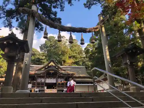 大神神社の鳥居