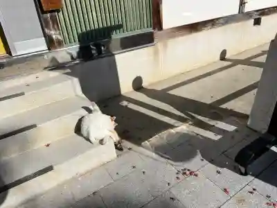 長福寺(長野県)