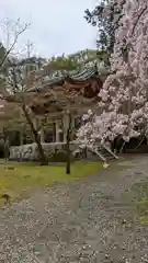 醍醐寺(京都府)