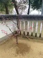 淡路神社の自然