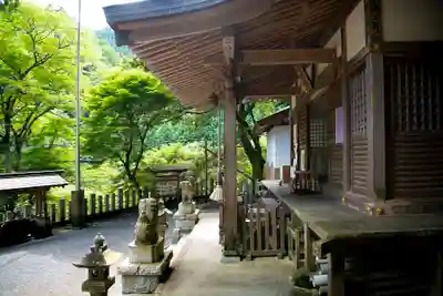 九頭龍神社の本殿・本堂