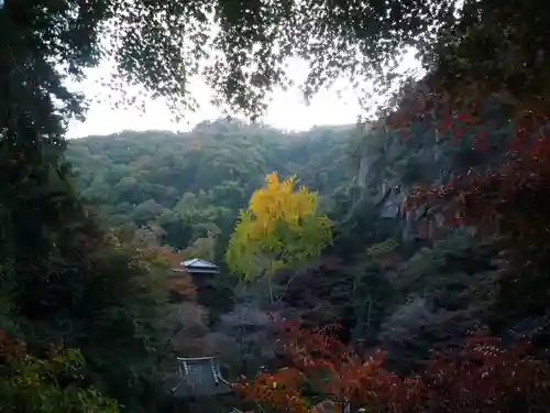 行道山 浄因寺の景色