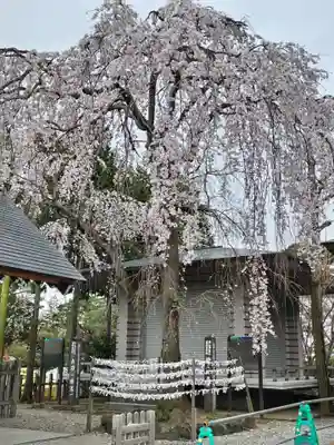 開成山大神宮(福島県)