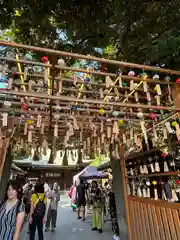 川越氷川神社(埼玉県)