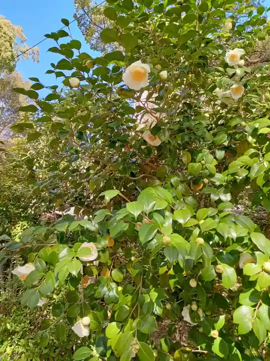 生田神社(兵庫県)