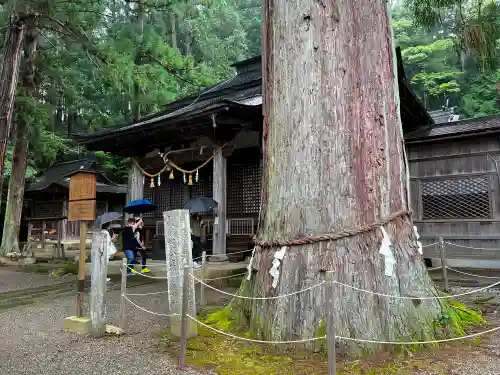 日枝神社の自然