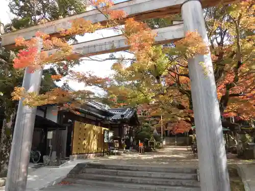 等彌神社の鳥居